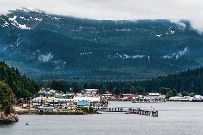 Icy Strait Shore Excursion: Whale Watching Adventure Tour 5