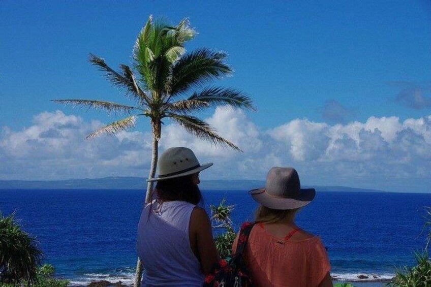 Two people standing by a palm tree overlooking a body of water. 2