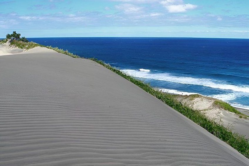 Discover Coral Coast Combo Tour 1