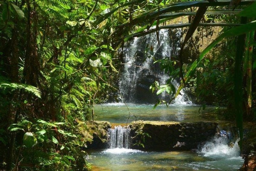 Una cascada en un bosque frondoso y verde. 1