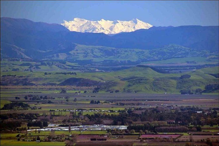 Views across the country to Mt Ruapehu on a clear day. 2