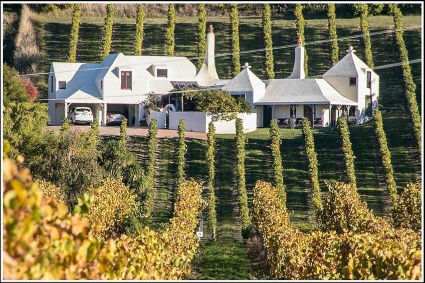 Drive through vineyards and orchards 1