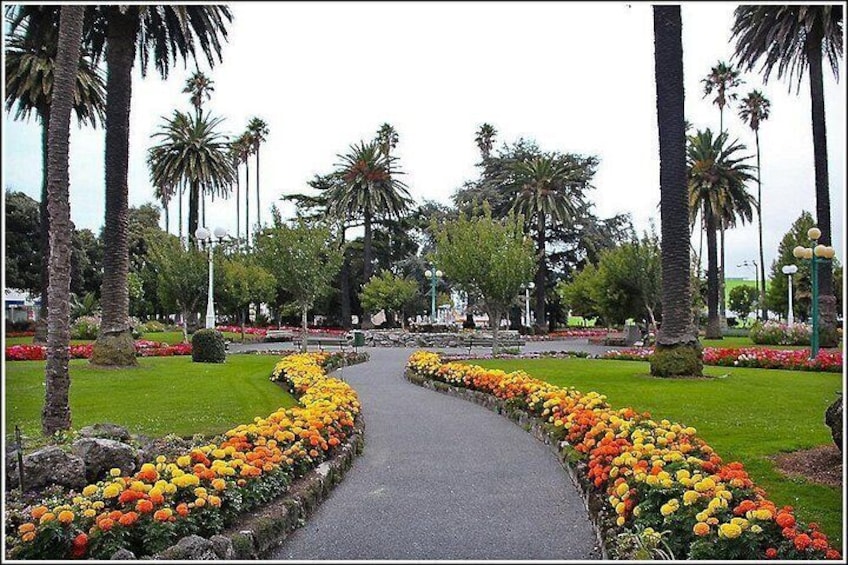 Beautiful gardens around the City 5