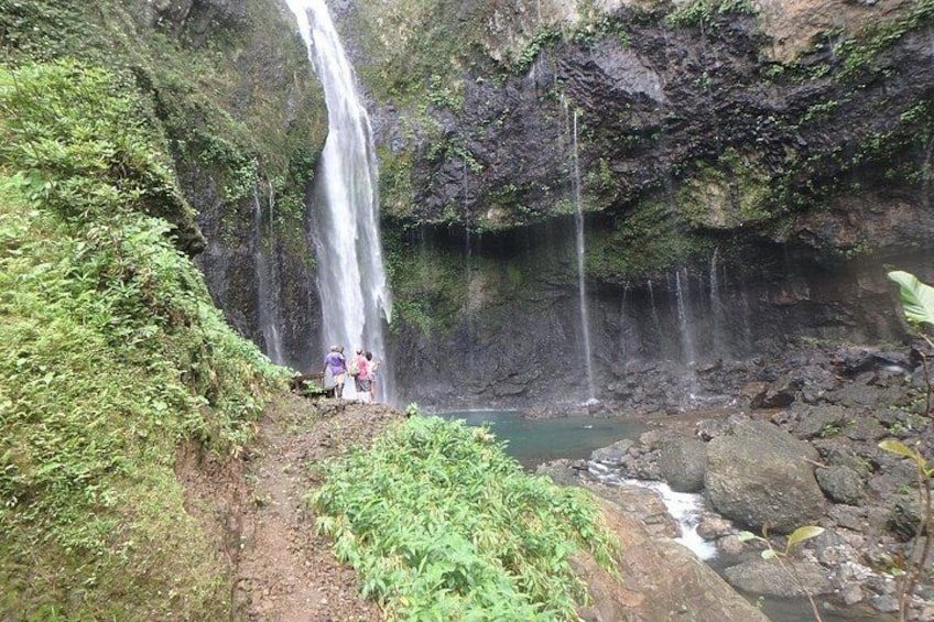 A waterfall, lush greenery, and a small group of people. 4