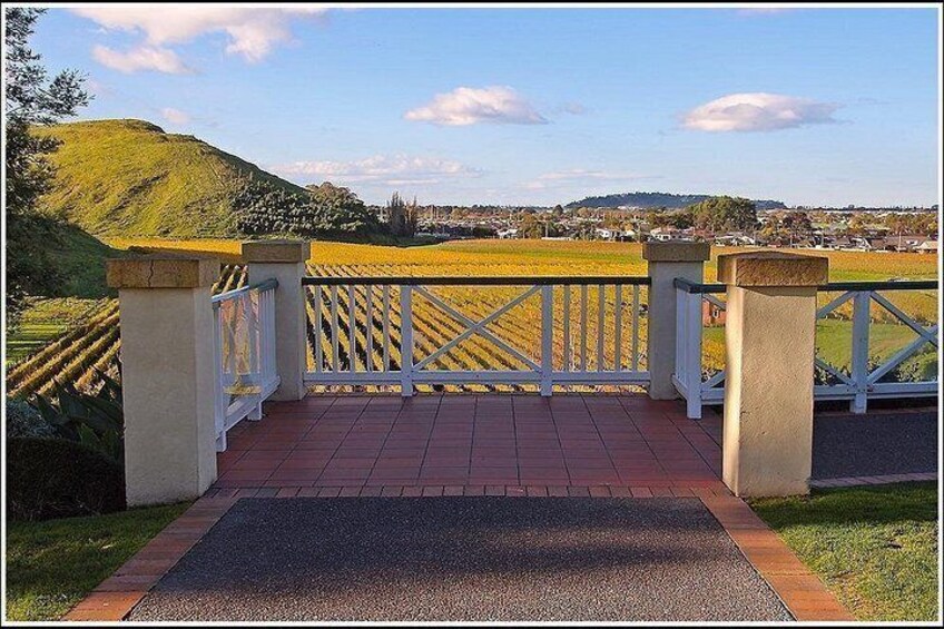 Enjoy the views on offer in this case, over the vineyard 3