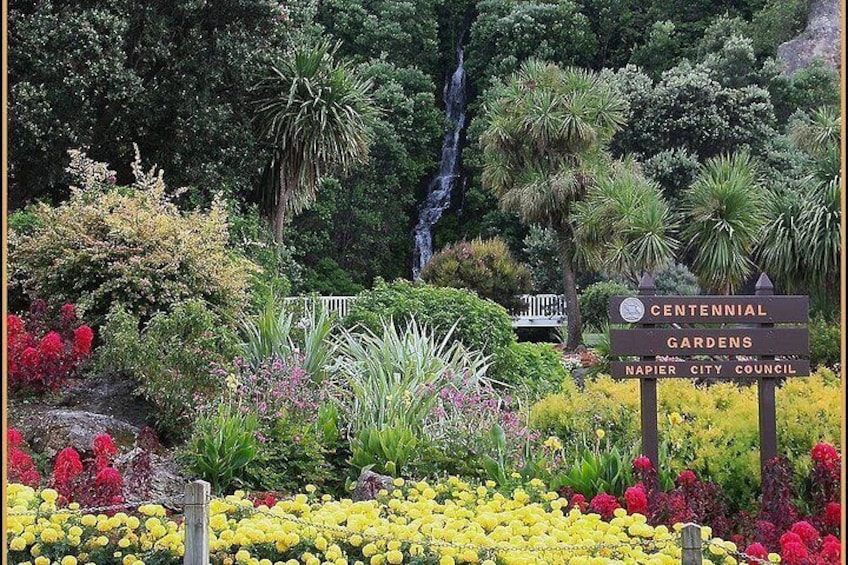 One of the City gardens seen on the day. 5
