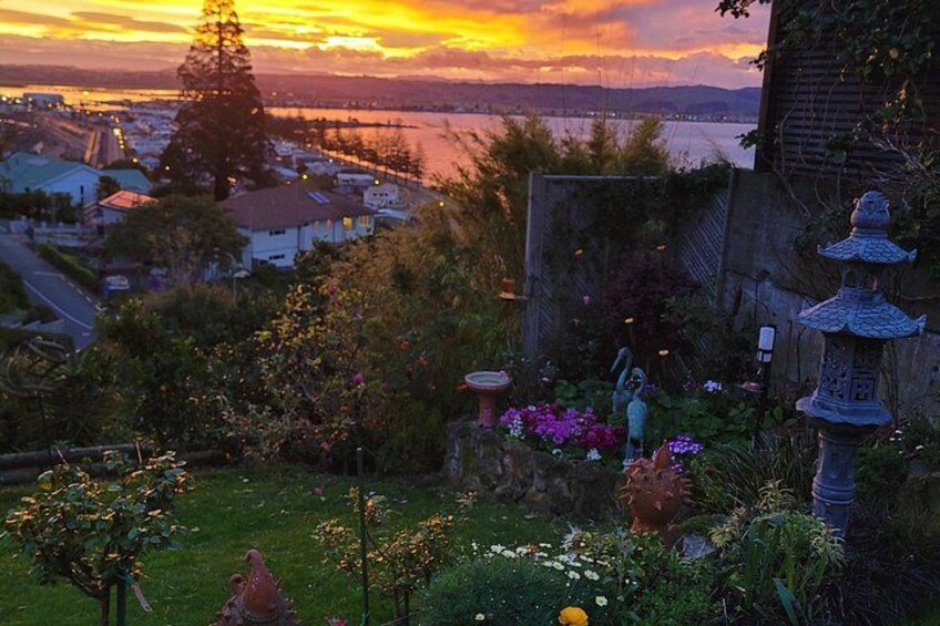 Garden at sunset 2