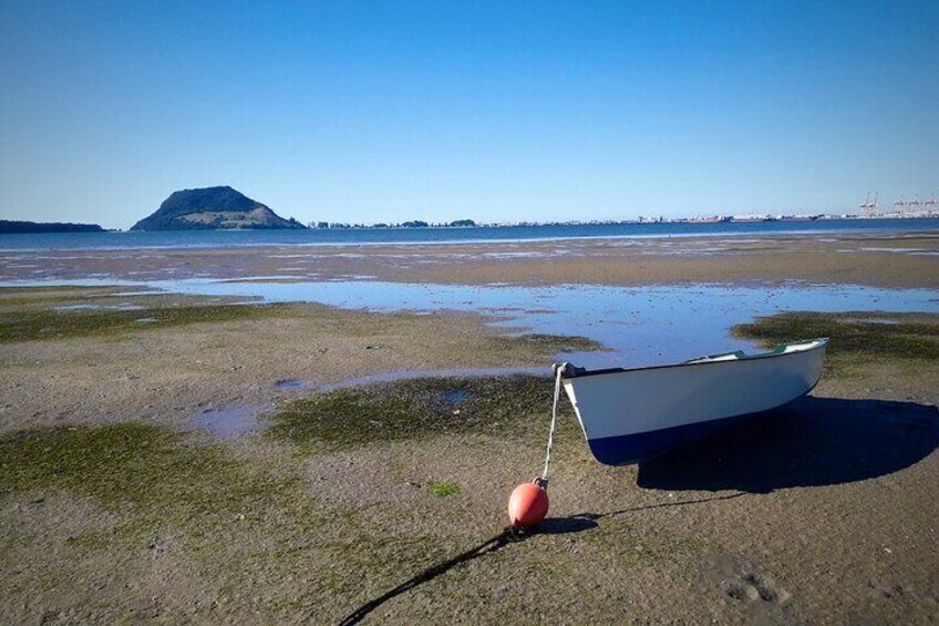 Tauranga and the Mount Maunganui