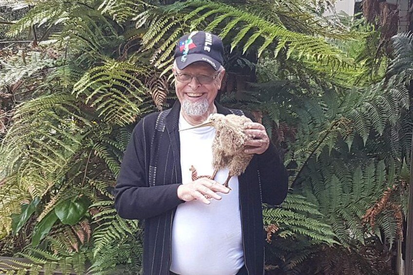 Kiwi and Ferns 4