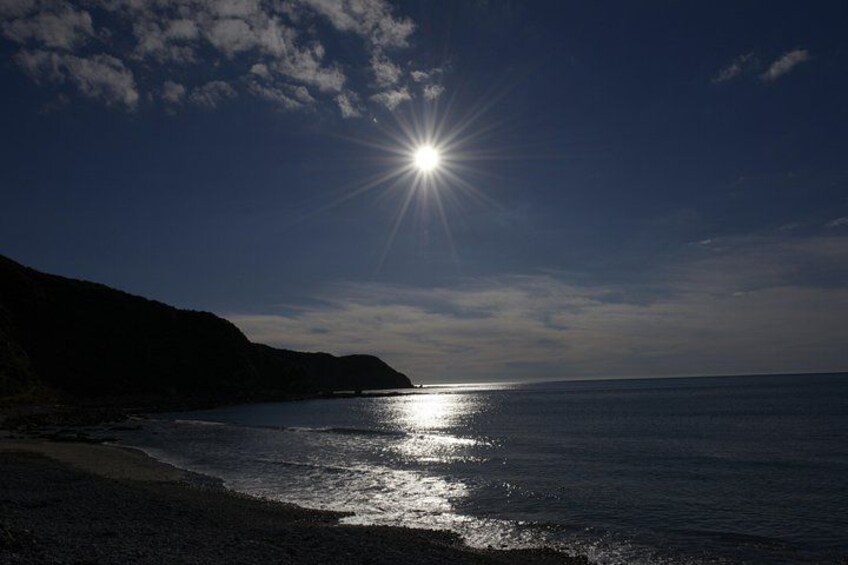 Kapiti Coastline by night 2