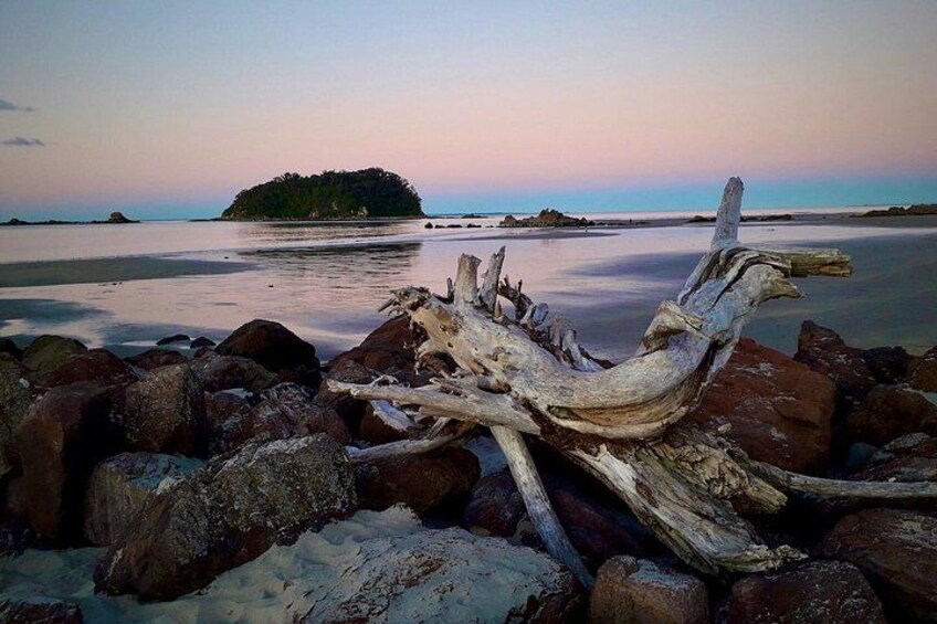 Rabbit Island close to Mt Maunganui 2
