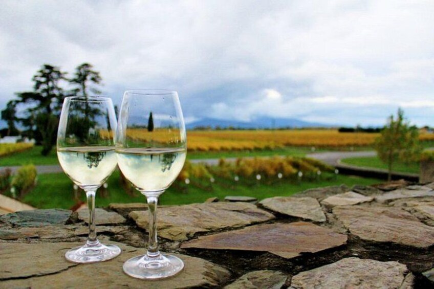 Can you taste the Sauvignon Blanc - crisp fruity style to refresh your pallete 2