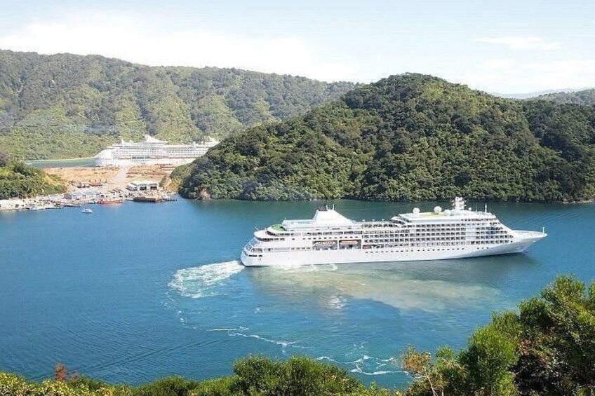 A large cruise ship in a calm body of water with a forested island in the background. 1