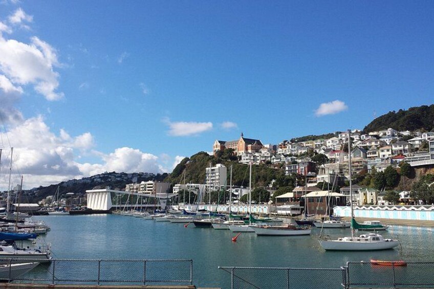 Private Wellington Full Day Sightseeing Tour 4