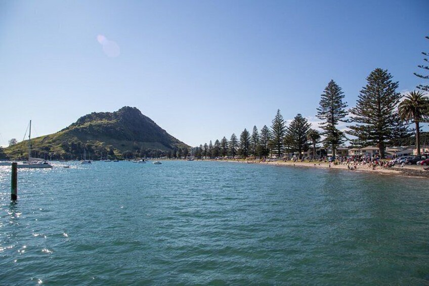 A coastal scene with a mountain, clear blue water, a sandy beach, and a line of trees. 1