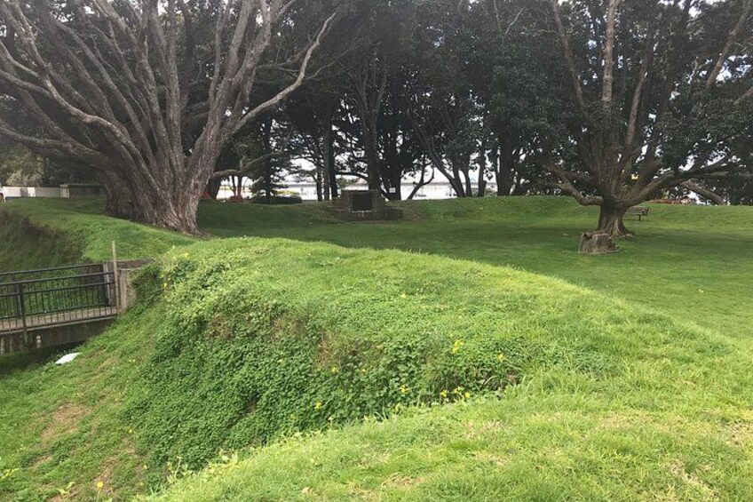 4hr Tauranga Scenic History and Tasting Tour FREE Kiwifruit Tasting 2