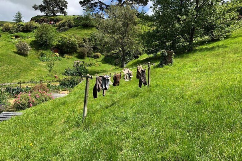 A grassy hillside with a clothesline and hanging laundry. 4
