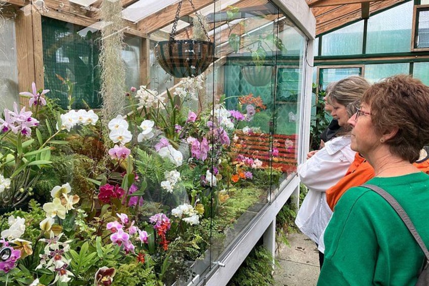 Un invernadero con diversas orquídeas y plantas. 4