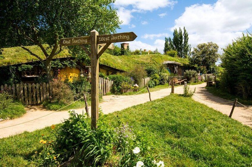 Hobbiton Tours 2