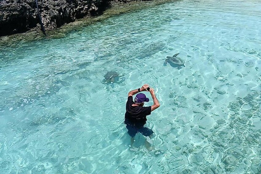 Una persona practica snorkel en aguas azules cristalinas con una tortuga cerca. 4