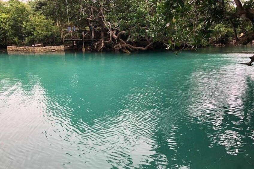 Une étendue d'eau calme, bordée d'une végétation luxuriante. 5