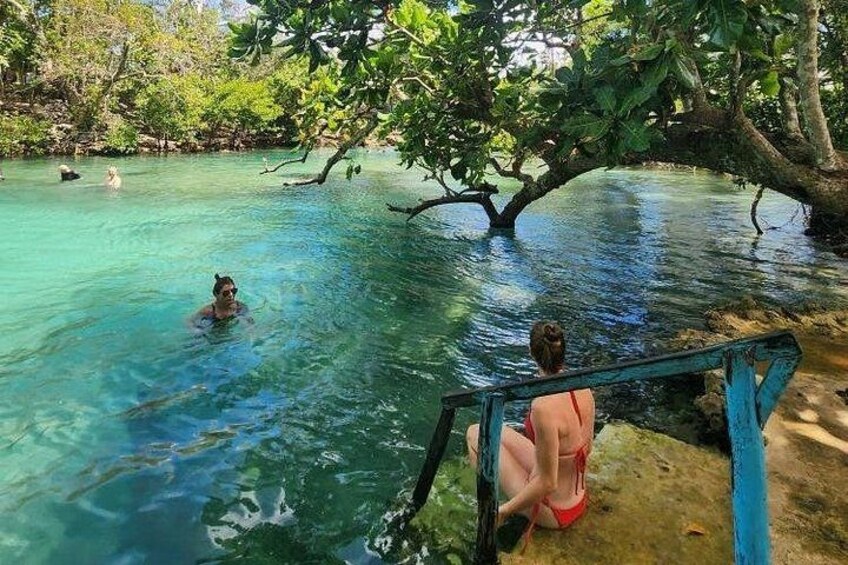 Blue Lagoon & Eden on the River - Half Day Trip with Yumi Tours 3