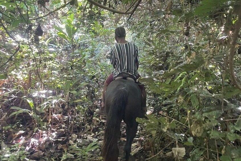 Horse Riding in Port Vila with Yumi Tours 3