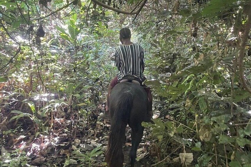 Horse Riding in Port Vila with Yumi Tours 3