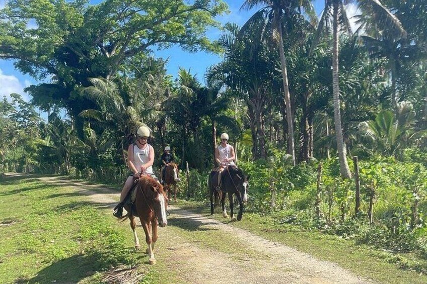 Horse Riding in Port Vila with Yumi Tours 2
