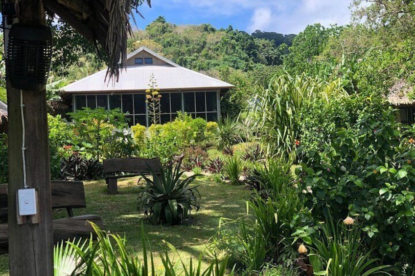 A garden with a wooden bench, a building with a white roof, and various tropical plants. 3