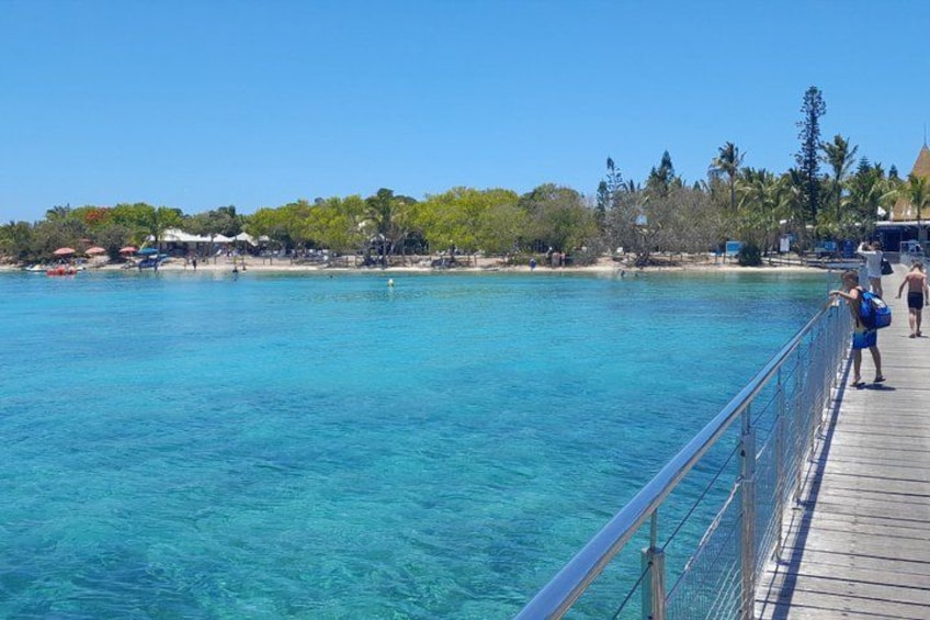 Master Island turtle tour for cruisers 5