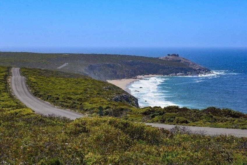 Kangaroo Island Luxury Small Group 'Flinders Chase Focus' Full Day Tour 2