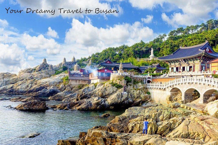 Highlights of Busan Private Tour by Licensed tour guide 5