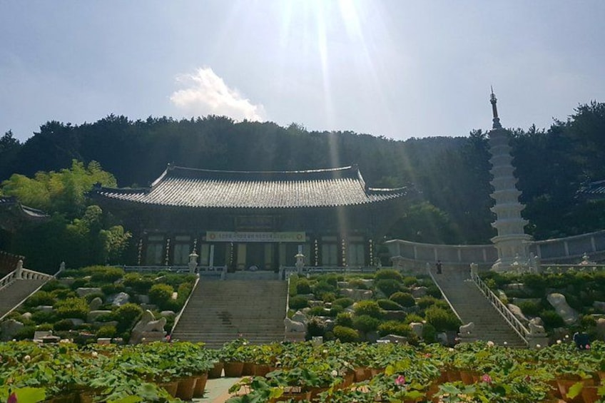 Ein traditioneller koreanischer Tempel mit einer Pagode, umgeben von gepflegten Gärten und blauem Himmel. 2