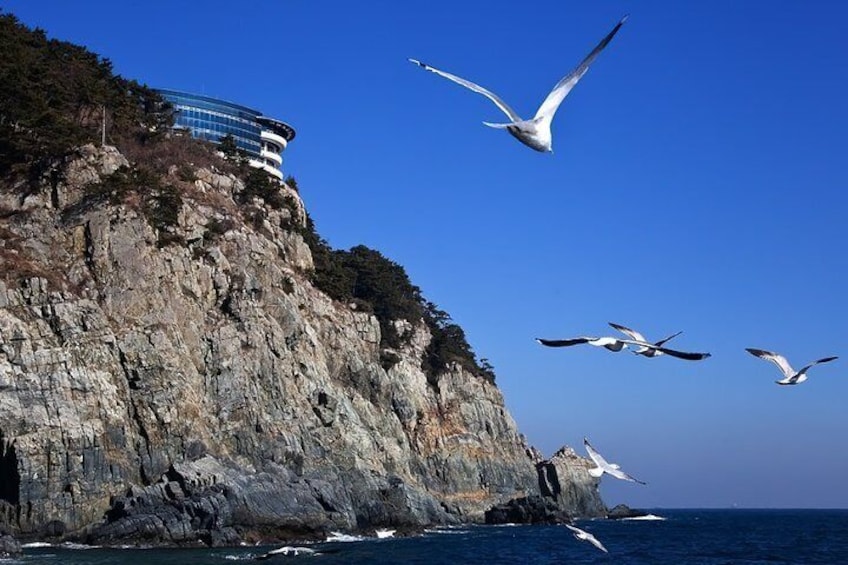 A rocky cliff with a modern building, seagulls flying, and the ocean. 2