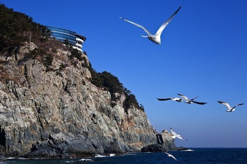 Cruise Layover : Small Group Busan Highlight Day Tour 2