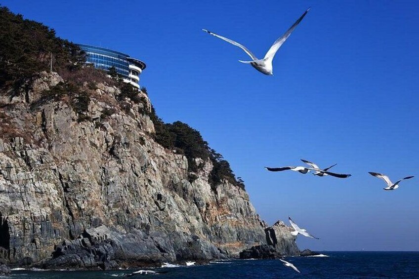 Cruise Layover : Small Group Busan Highlight Day Tour 2