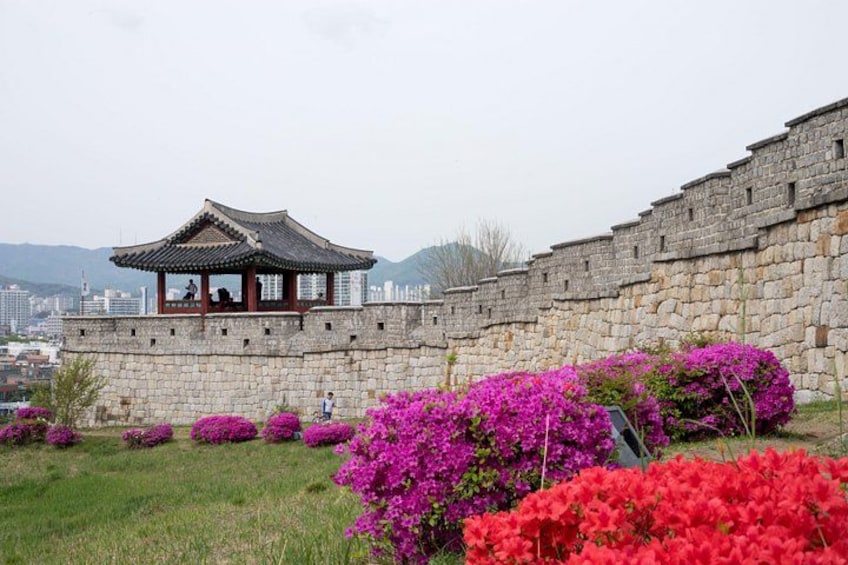 Un pavillon coréen traditionnel, un mur de pierre et des fleurs éclatantes aux couleurs rose et rouge. 1