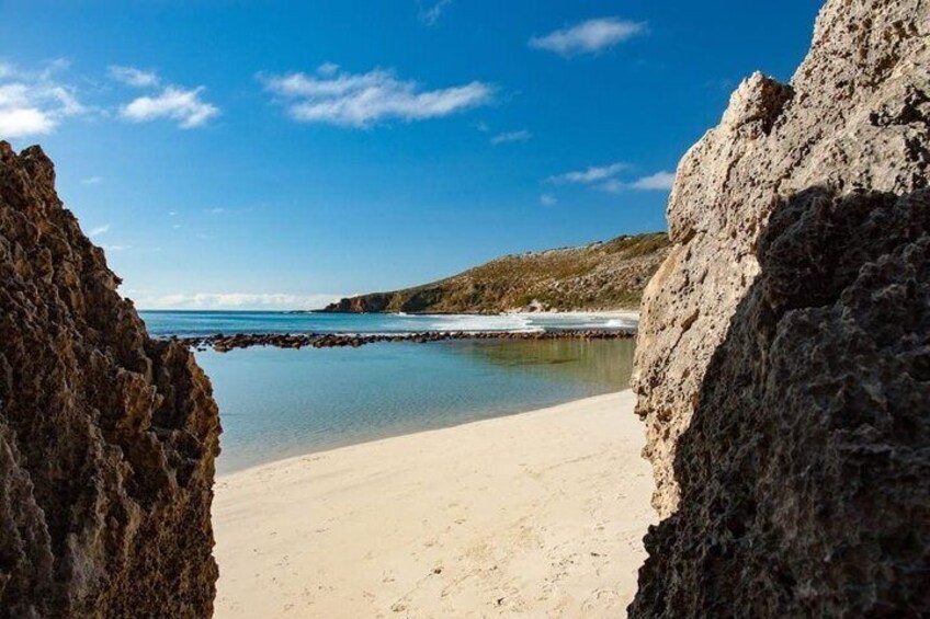 Kangaroo Island Luxury Small Group 'Island Life' Full Day Tour 2