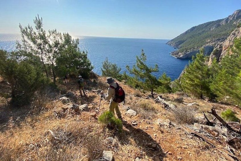 A hiker on a rocky trail with pine trees and a view of the sea. 5