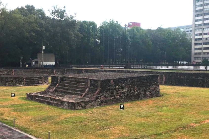 Guadalupe Shrine & Teotihuacan Pyramids Tour 2