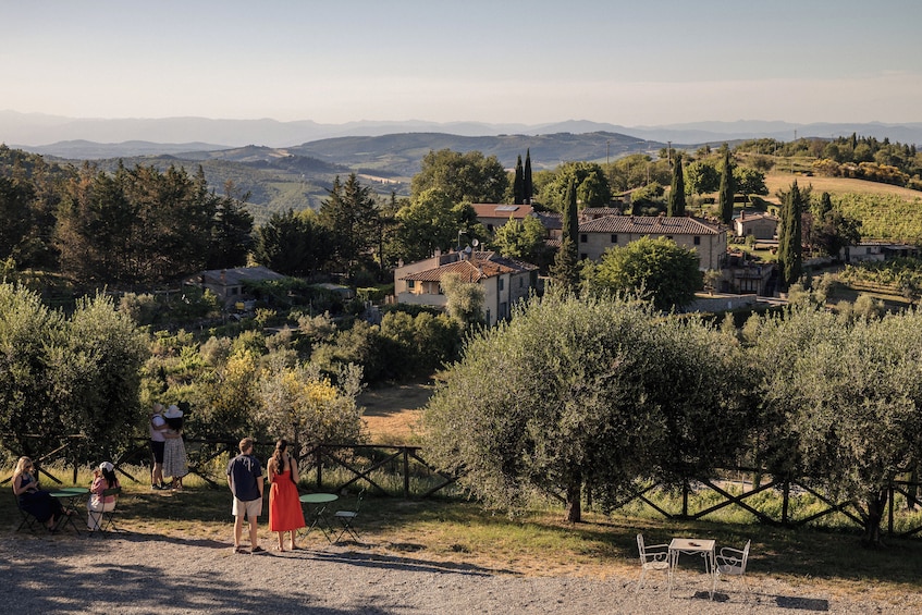 Chianti Wine & Food Experience with Two Authentic Tastings 4