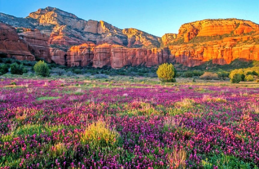 Scenic Sedona Desert Landmarks Tour-GWT 3
