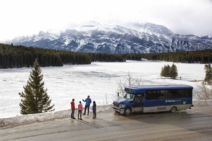 Wildlife & History Tour of Banff