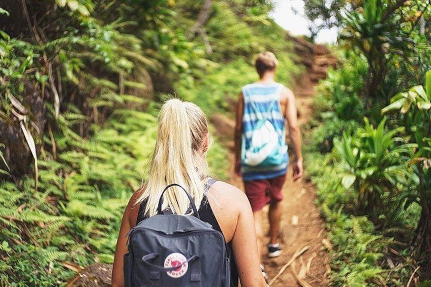 Two people hiking on a forest trail surrounded by dense greenery. 5