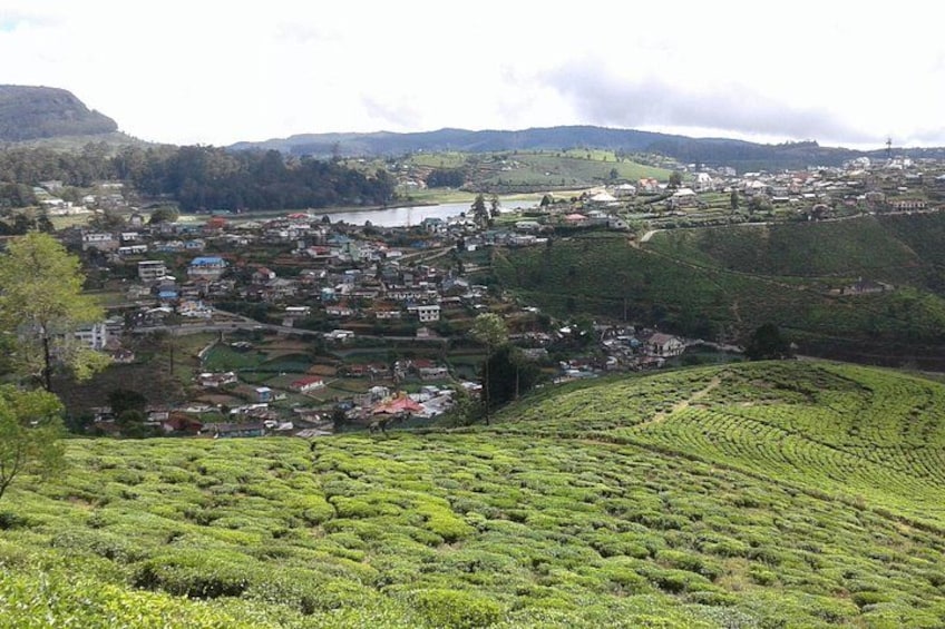 A town nestled in hilly terrain with terraced tea plantations. 3