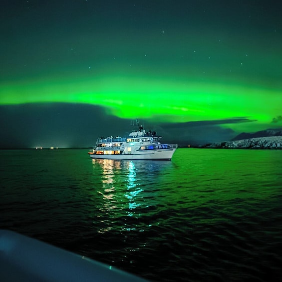 Reykjavik: Northern Lights Guided Boat Tour 3