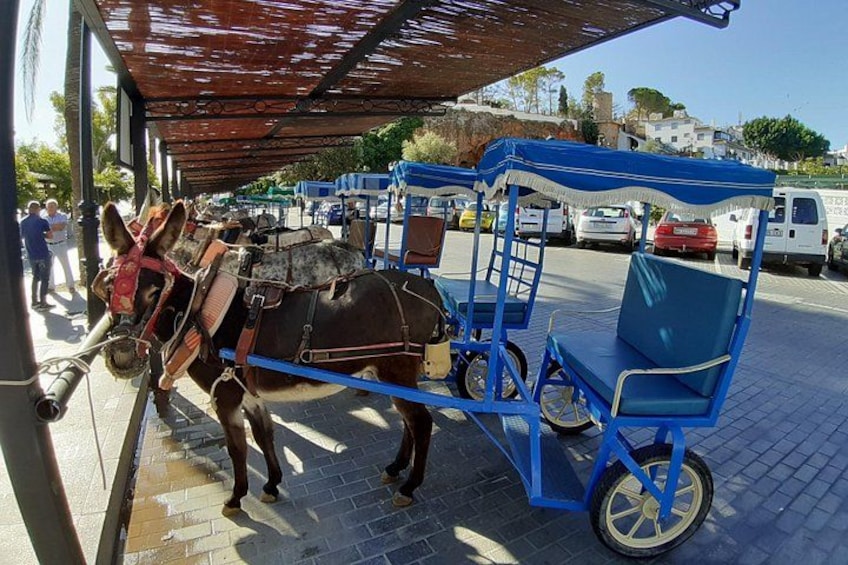 Ein Esel zieht einen Wagen mit blauem Verdeck, abgestellt auf einem befestigten Gelände mit Gebäuden und Fahrzeugen im Hintergrund. 1
