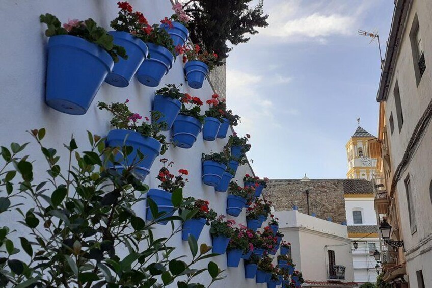 blue pots with flowers