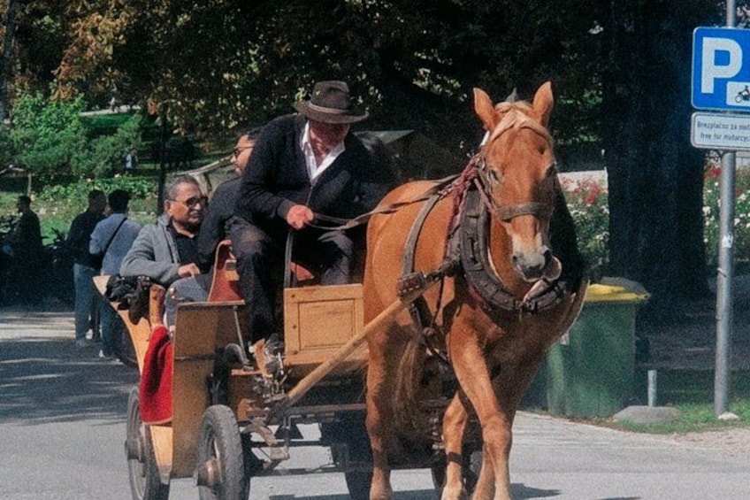 Full day tour to Lake Bled & Ljubljana from Trieste-private tour 4